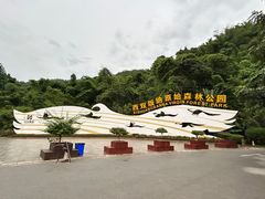 -西双版纳原始森林公园