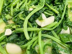 -乡土特色.冷锅鱼.牦牛肉汤锅