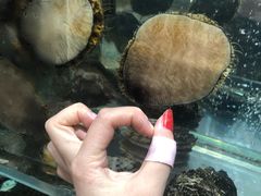 -将相和·海鲜蒸饺大连菜