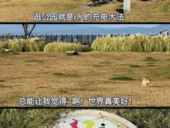 -大理洱海