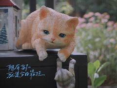 -大隐花事(熊婆婆的花园店)