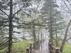 -凤凰山国家森林公园