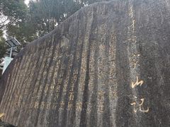 -陈家山荷花公园