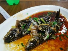 清蒸昂刺鱼-月敏农家乐(树山店)