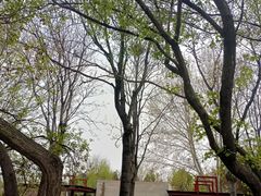 -石家庄市植物园