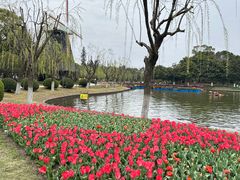 -上海鲜花港