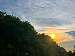 -动邦皮划艇·桨板·独木舟·团建户外运动俱乐部