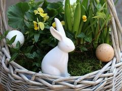 -同济大学(嘉定校区)