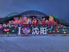 -沈阳奥体冰雪嘉年华