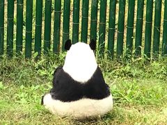 -沈阳森林动物园