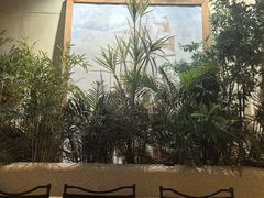 -大书房咖啡(中传国交店)