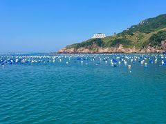 -枸杞岛