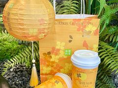 -奈雪的茶(中洲πmall店)