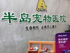 -半岛宠物医院24小时(科华中路店)