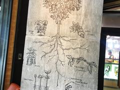 -星巴克(珠海摩尔百货店)