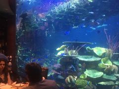 -迪拜帆船酒店海底餐厅