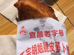 -半月镰胡姐脆皮萝卜饺子