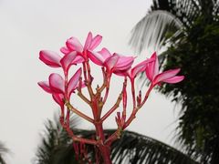 -白沙门生态公园