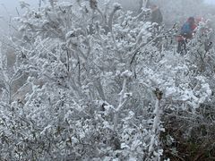 -金子山原生态旅游风景区