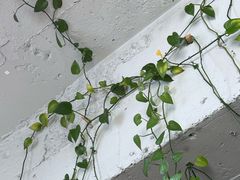 -懒人盐府人家·自贡大麻鱼(安贞店)