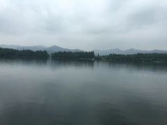 -西湖外事游船(花港观鱼码头)