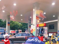 -中国石油加油站(严桥路站)