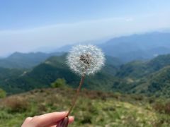 -驼梁风景区