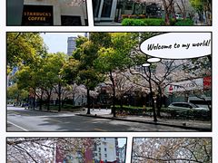 -玛格萝妮比萨屋(四平店)