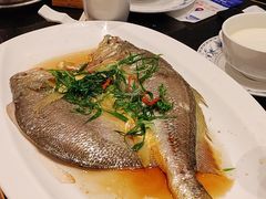 清蒸大黄鱼-正斗·港式粤菜(SKLP店)