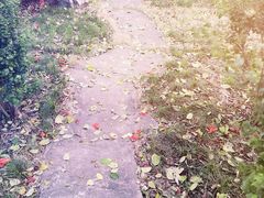 -广州市干部健康管理中心