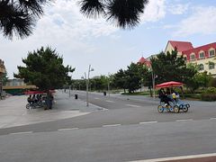 -日照海滨国家森林公园