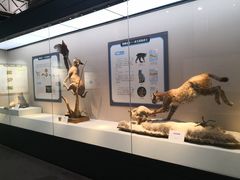 -国家自然博物馆