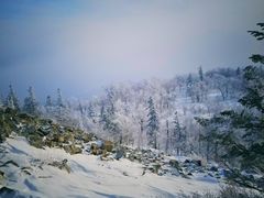 -亚布力新体委滑雪场