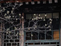 -潭柘寺景区