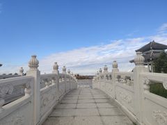 -呼兰河口湿地公园