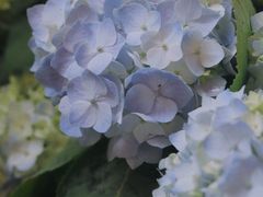 -二酉书店TOYOU BOOKS