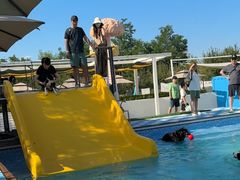 -爪吧宠物乐园 (温榆河示范区店)