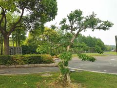 -上海月湖雕塑公园