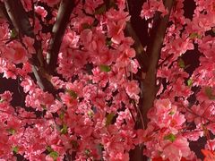 -三顾烤庐·烤鱼·烧烤·龙虾(奉贤店)