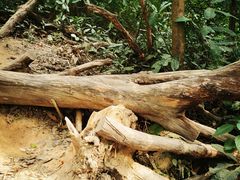 -梧桐山风景名胜区