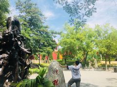 -大槐树寻根祭祖园