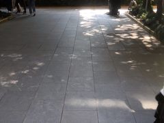 -同济大学附属口腔医院