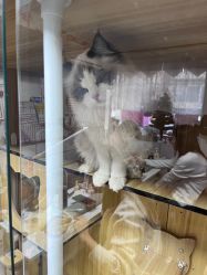 -一个美甲店