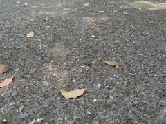 -白塘生态植物园