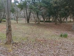 -汉拿树木园