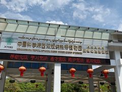 -中国科学院西双版纳热带植物园