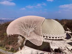 -牛首山文化旅游区