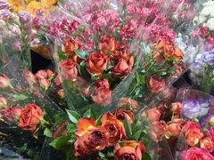 -循礼门鲜花花市(武汉循礼门店)