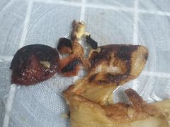 -大东北首席烤冷面(常兴路店)