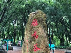 -大雁山风景区